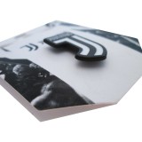 JUVENTUS FC LOGO SPILLA METAL PIN