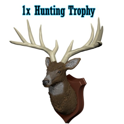 POOLS AND PILLARS SET AMBIENTAZIONE DUNGEONS AND DRAGONS WIZKIDS