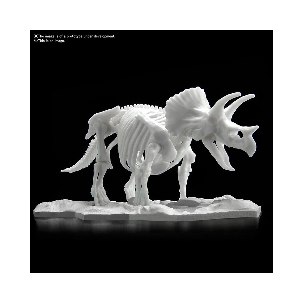 DINOSAUR LIMEX SKELETON TRICERATOPS MODEL KIT FIGURE BANDAI