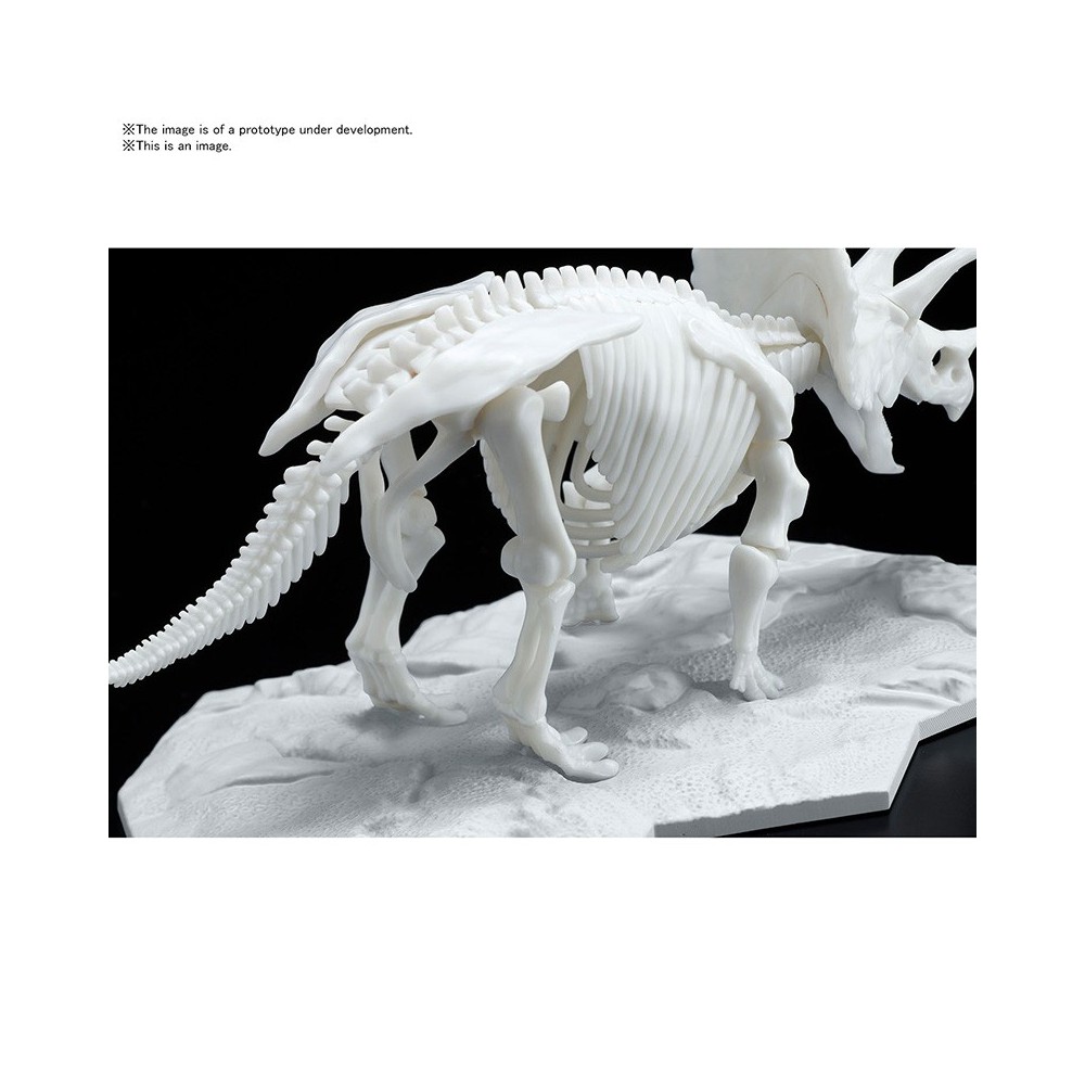 DINOSAUR LIMEX SKELETON TRICERATOPS MODEL KIT FIGURE BANDAI
