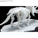DINOSAUR LIMEX SKELETON TRICERATOPS MODEL KIT FIGURE BANDAI