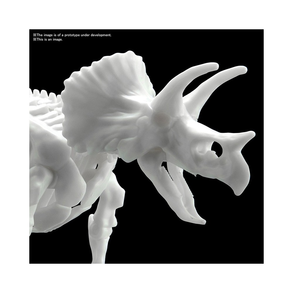 DINOSAUR LIMEX SKELETON TRICERATOPS MODEL KIT FIGURE BANDAI
