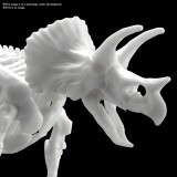 DINOSAUR LIMEX SKELETON TRICERATOPS MODEL KIT FIGURE BANDAI