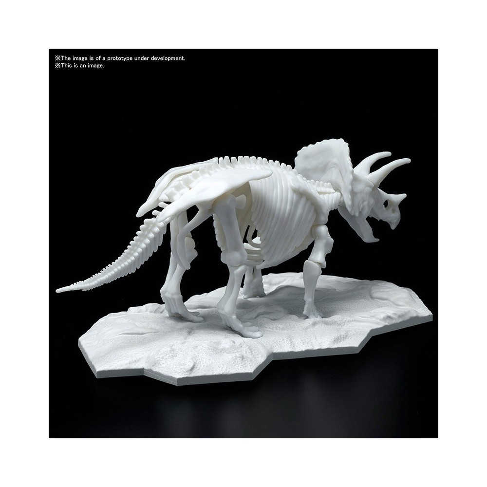 DINOSAUR LIMEX SKELETON TRICERATOPS MODEL KIT FIGURE BANDAI