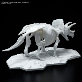 DINOSAUR LIMEX SKELETON TRICERATOPS MODEL KIT FIGURE BANDAI