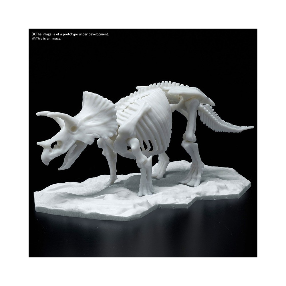 DINOSAUR LIMEX SKELETON TRICERATOPS MODEL KIT FIGURE BANDAI