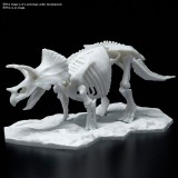 DINOSAUR LIMEX SKELETON TRICERATOPS MODEL KIT FIGURE BANDAI