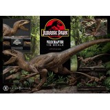 JURASSIC PARK VELOCIRAPTOR 1/6 STATUA FIGURE PRIME 1 STUDIO