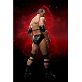 WWE DWAYNE JOHNSON THE ROCK S.H. FIGUARTS SHF ACTION FIGURE BANDAI