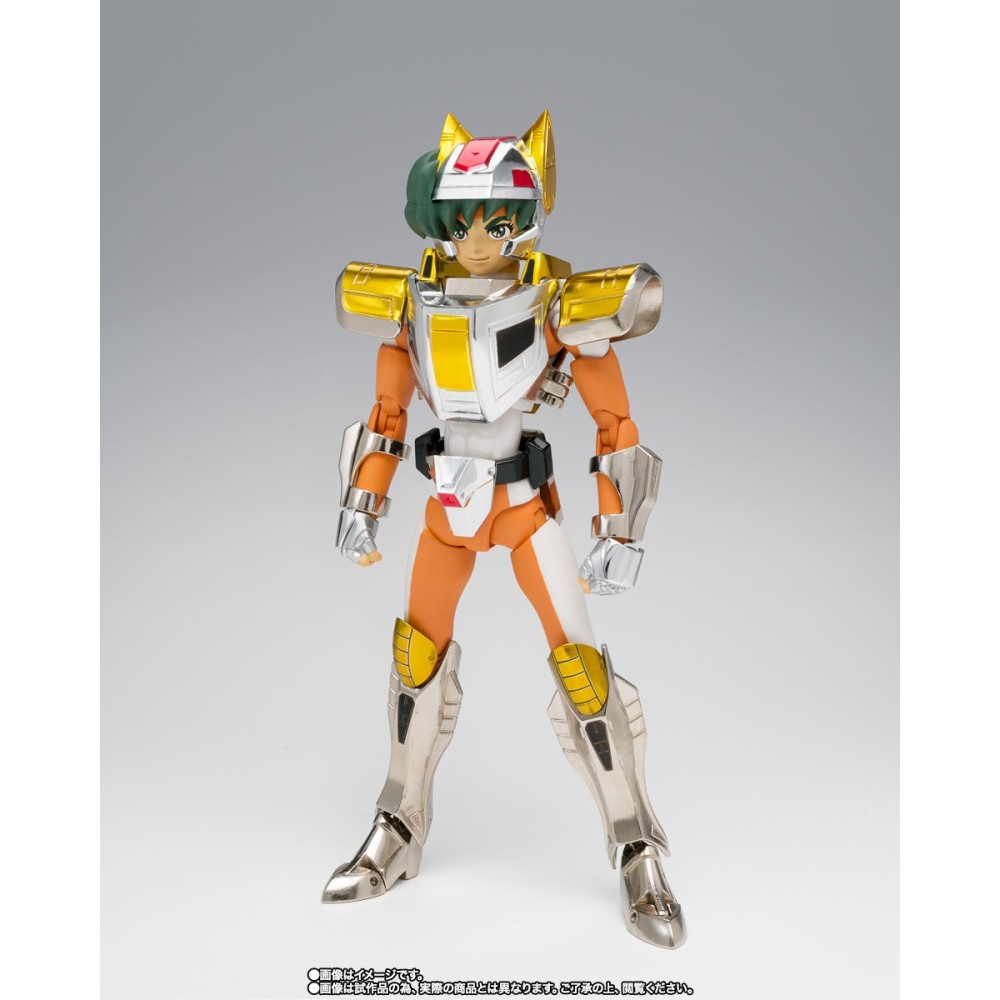 SAINT SEIYA MYTH CLOTH STEEL SAINT LAND CLOTH DAICHI REVIVAL ACTION FIGURE BANDAI