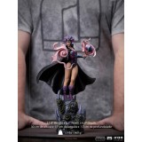 IRON STUDIOS MASTERS OF THE UNIVERSE EVIL-LYN BDS ART SCALE 1/10 STATUE FIGURE