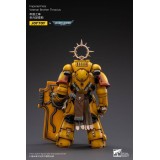 WARHAMMER 40000 IMPERIAL FISTS VETERAN BROTHER THRACIUS ACTION FIGURE JOY TOY (CN)
