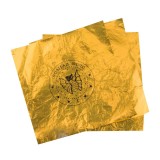 HARRY POTTER GRINGOTTS BANK CHOCOLATE COINS MOLD STAMPI PER CIOCCOLATINI CINEREPLICAS