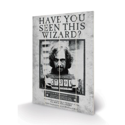HARRY POTTER SIRIUS WANTED WOOD PRINT STAMPA SU LEGNO 60X40CM PYRAMID INTERNATIONAL