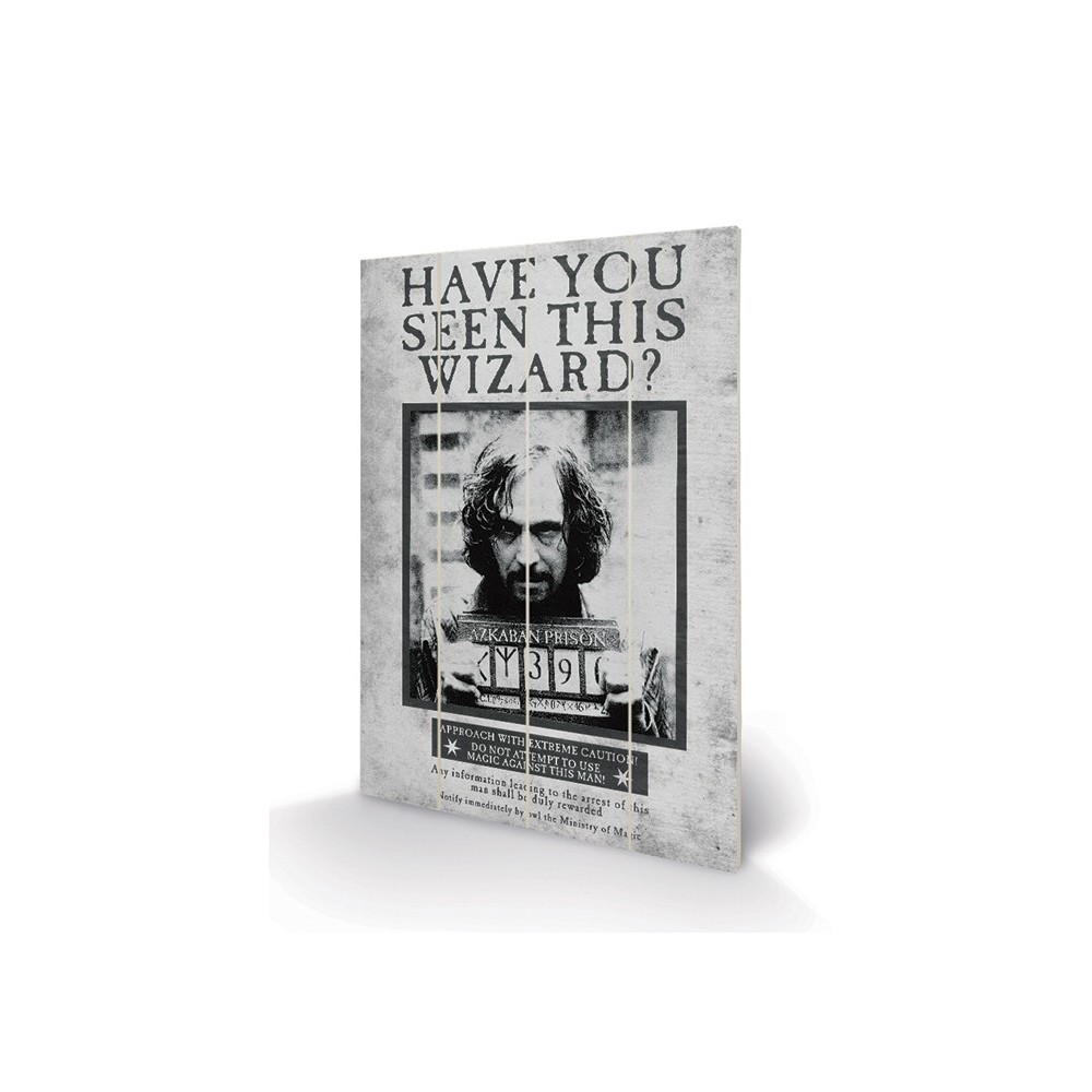 HARRY POTTER SIRIUS WANTED WOOD PRINT STAMPA SU LEGNO 60X40CM PYRAMID INTERNATIONAL