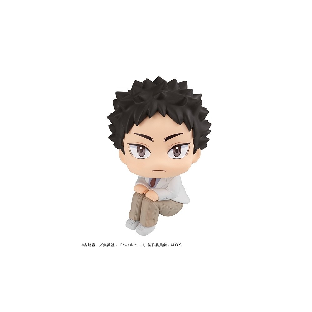 HIKYU IWAIZUMI LOOK UP MINI FIGURE STATUA MEGAHOUSE