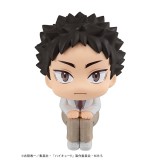HIKYU IWAIZUMI LOOK UP MINI FIGURE STATUA MEGAHOUSE