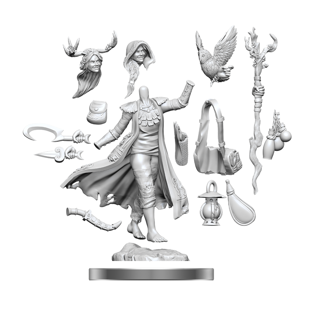 DUNGEONS AND DRAGONS FRAMEWORKS HUMAN DRUID FEMALE MODEL KIT MINIATURE FIGURE WIZKIDS