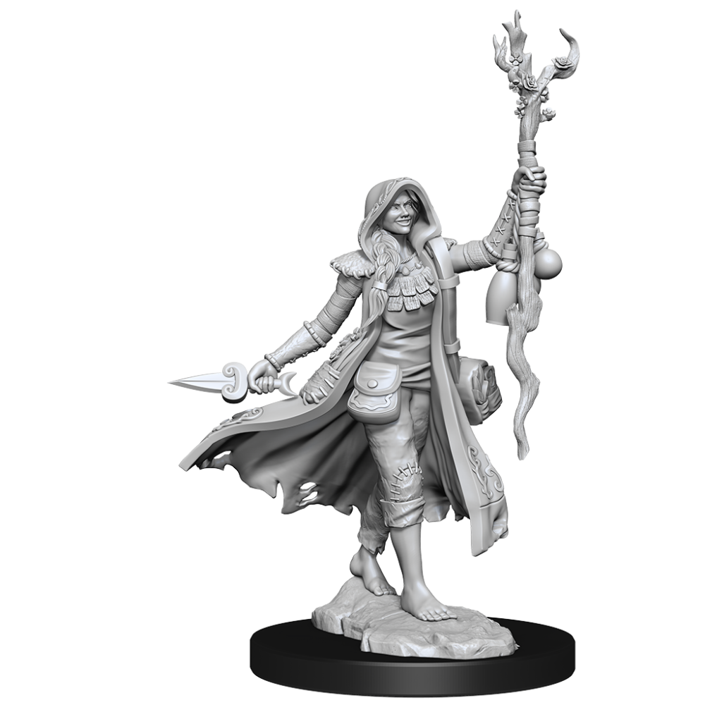 DUNGEONS AND DRAGONS FRAMEWORKS HUMAN DRUID FEMALE MODEL KIT MINIATURE FIGURE WIZKIDS