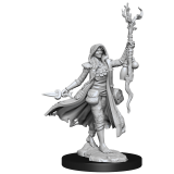 DUNGEONS AND DRAGONS FRAMEWORKS HUMAN DRUID FEMALE MODEL KIT MINIATURE FIGURE WIZKIDS