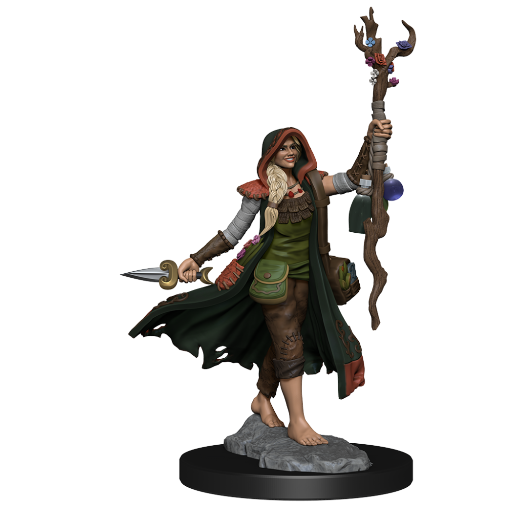 DUNGEONS AND DRAGONS FRAMEWORKS HUMAN DRUID FEMALE MODEL KIT MINIATURE FIGURE WIZKIDS