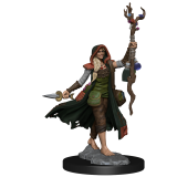 DUNGEONS AND DRAGONS FRAMEWORKS HUMAN DRUID FEMALE MODEL KIT MINIATURE FIGURE WIZKIDS