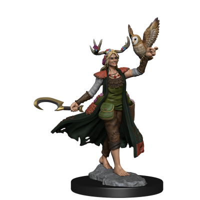 DUNGEONS AND DRAGONS FRAMEWORKS HUMAN DRUID FEMALE MODEL KIT MINIATURE FIGURE WIZKIDS