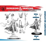 DUNGEONS AND DRAGONS FRAMEWORKS HUMAN DRUID FEMALE MODEL KIT MINIATURE FIGURE WIZKIDS