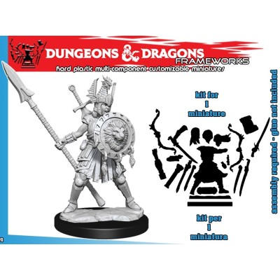 DUNGEONS AND DRAGONS FRAMEWORKS HUMAN FIGHTER FEMALE MODEL KIT MINIATURE FIGURE WIZKIDS