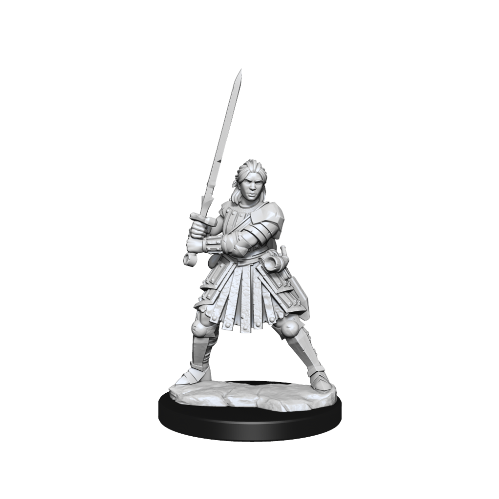 DUNGEONS AND DRAGONS FRAMEWORKS HUMAN FIGHTER FEMALE MODEL KIT MINIATURE FIGURE WIZKIDS