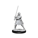 DUNGEONS AND DRAGONS FRAMEWORKS HUMAN FIGHTER FEMALE MODEL KIT MINIATURE FIGURE WIZKIDS