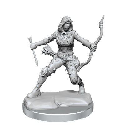 DUNGEONS AND DRAGONS FRAMEWORKS HUMAN ROGUE FEMALE MODEL KIT MINIATURE FIGURE WIZKIDS