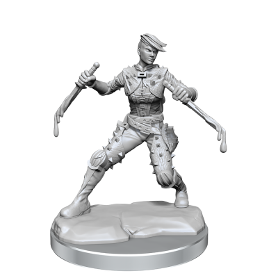 DUNGEONS AND DRAGONS FRAMEWORKS HUMAN ROGUE FEMALE MODEL KIT MINIATURE FIGURE WIZKIDS