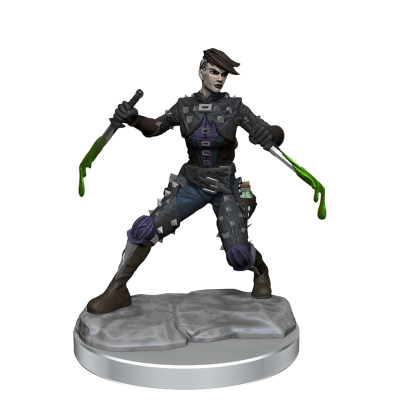 DUNGEONS AND DRAGONS FRAMEWORKS HUMAN ROGUE FEMALE MODEL KIT MINIATURE FIGURE WIZKIDS