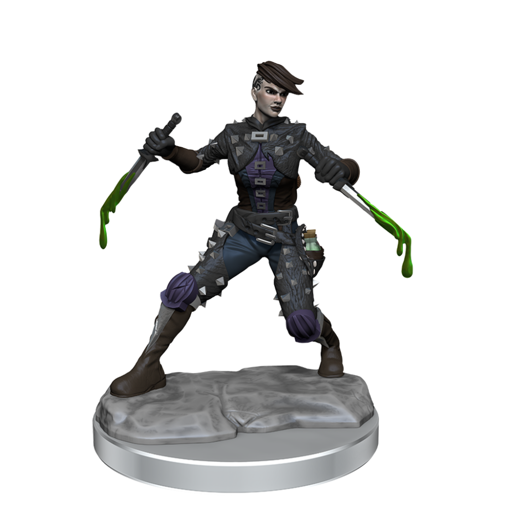 DUNGEONS AND DRAGONS FRAMEWORKS HUMAN ROGUE FEMALE MODEL KIT MINIATURE FIGURE WIZKIDS