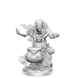 DUNGEONS AND DRAGONS FRAMEWORKS NIGHT HAG MODEL KIT MINIATURE FIGURE WIZKIDS