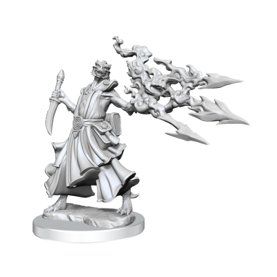 DUNGEONS AND DRAGONS FRAMEWORKS DRAGONBORN SORCERER FEMALE MODEL KIT MINIATURE FIGURE WIZKIDS