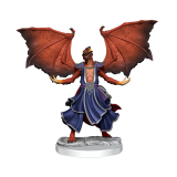 DUNGEONS AND DRAGONS FRAMEWORKS DRAGONBORN SORCERER FEMALE MODEL KIT MINIATURE FIGURE WIZKIDS