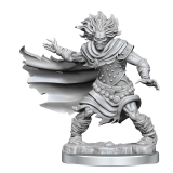 DUNGEONS AND DRAGONS FRAMEWORKS WIGHT MODEL KIT MINIATURE FIGURE WIZKIDS