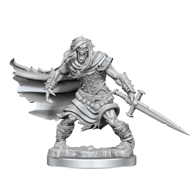 DUNGEONS AND DRAGONS FRAMEWORKS WIGHT MODEL KIT MINIATURE FIGURE WIZKIDS