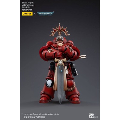 WARHAMMER 40000 BLOOD ANGELS VETERAN SALUS ACTION FIGURE JOY TOY (CN)