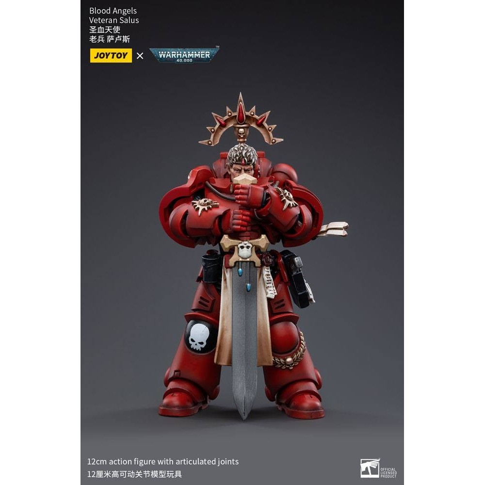 WARHAMMER 40000 BLOOD ANGELS VETERAN SALUS ACTION FIGURE JOY TOY (CN)