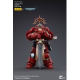 WARHAMMER 40000 BLOOD ANGELS VETERAN SALUS ACTION FIGURE JOY TOY (CN)