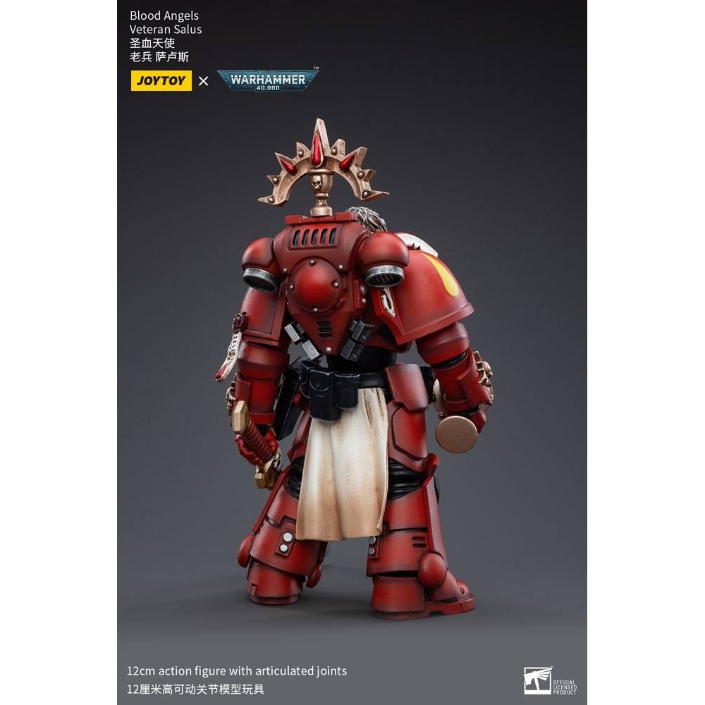 WARHAMMER 40000 BLOOD ANGELS VETERAN SALUS ACTION FIGURE JOY TOY (CN)