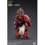 WARHAMMER 40000 BLOOD ANGELS VETERAN SALUS ACTION FIGURE JOY TOY (CN)