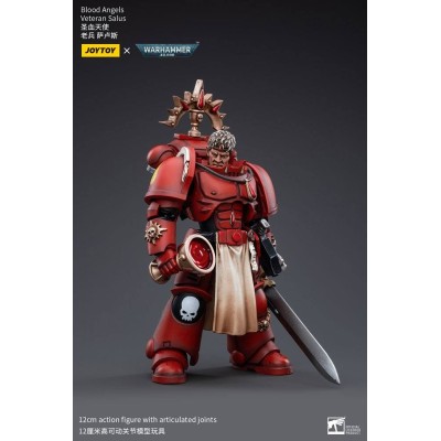 WARHAMMER 40000 BLOOD ANGELS VETERAN SALUS ACTION FIGURE JOY TOY (CN)