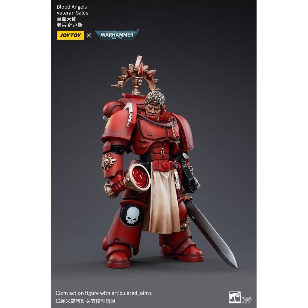 WARHAMMER 40000 BLOOD ANGELS VETERAN SALUS ACTION FIGURE JOY TOY (CN)