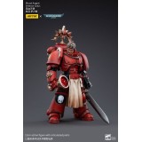 WARHAMMER 40000 BLOOD ANGELS VETERAN SALUS ACTION FIGURE JOY TOY (CN)