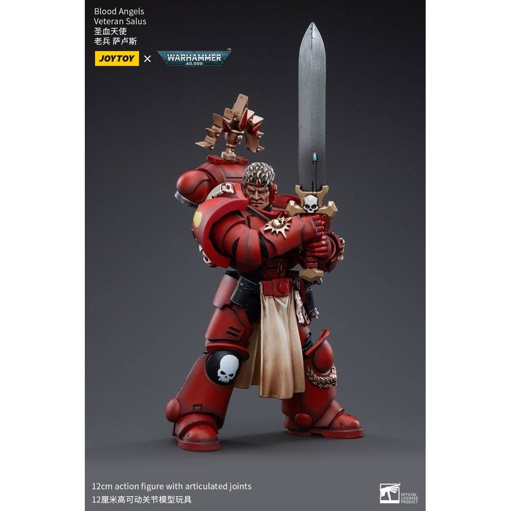 WARHAMMER 40000 BLOOD ANGELS VETERAN SALUS ACTION FIGURE JOY TOY (CN)