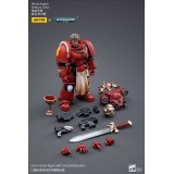 WARHAMMER 40000 BLOOD ANGELS VETERAN SALUS ACTION FIGURE JOY TOY (CN)